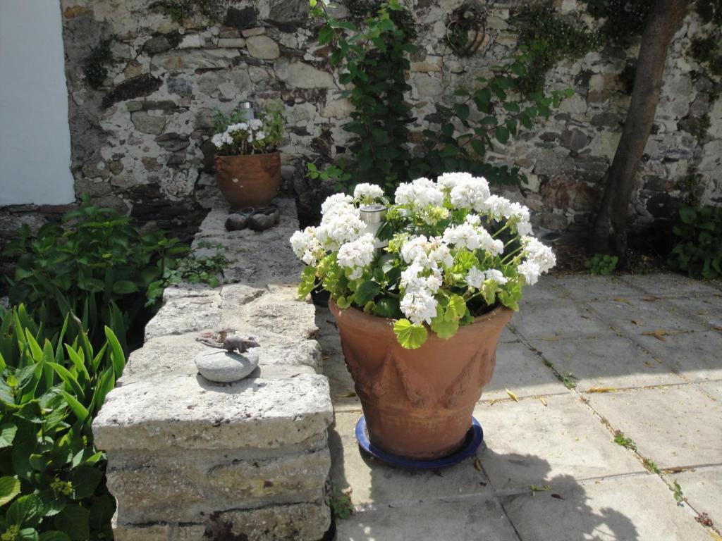 Le Buzet Bleu Bed & Breakfast Noirmoutier-en-l'Ile Bagian luar foto